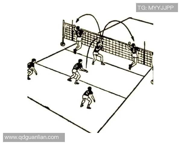 上海排球队防守策略揭秘：深度解析排球战术与球员配合技巧