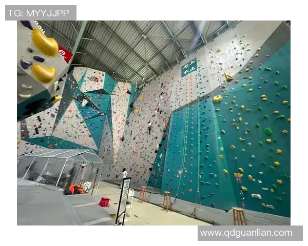 深入分析上海攀岩队的运营策略与发展模式探讨