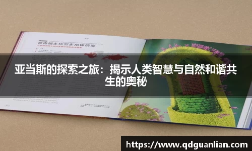 678体全网直播